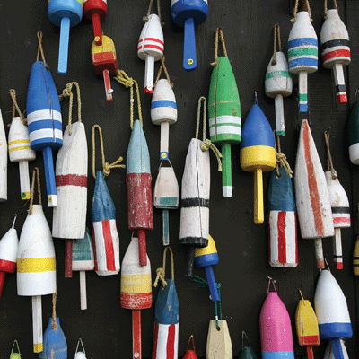 WS Rocky Shores: Thor's Well