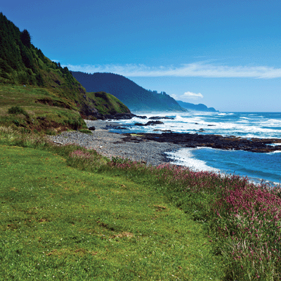 WS Rocky Shores: Surf's Up