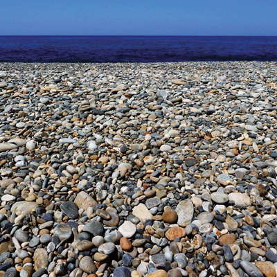 Rocky Shores: Surf's Up