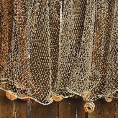 WS Rocky Shores: Sunset