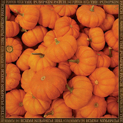WS RSS:  Pumpkin Patch