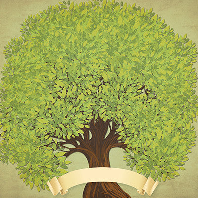 WS RSS:  Family Tree