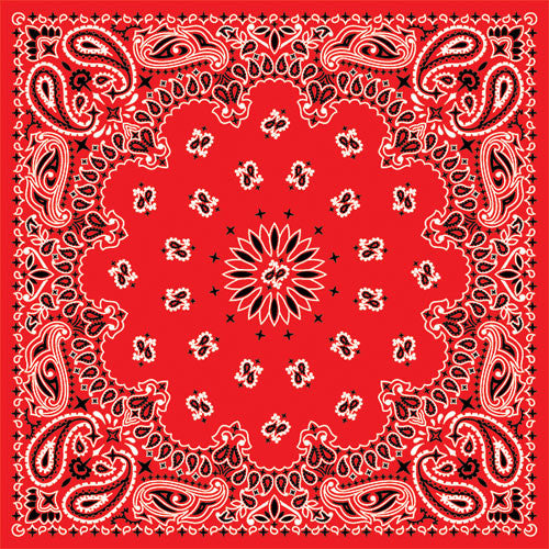 Saddle Up: At the Stable