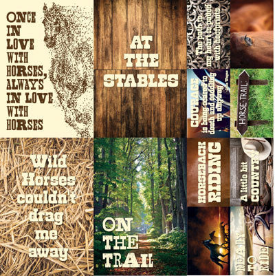 WS Saddle Up: 12x12 Poster Sticker