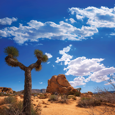 Scenic Southwest: Monument Valley