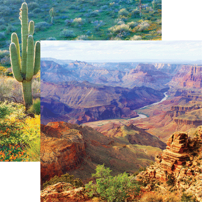 WS Scenic Southwest: Grand Canyon