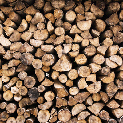 Scandinavian Woodland: Stacked Logs