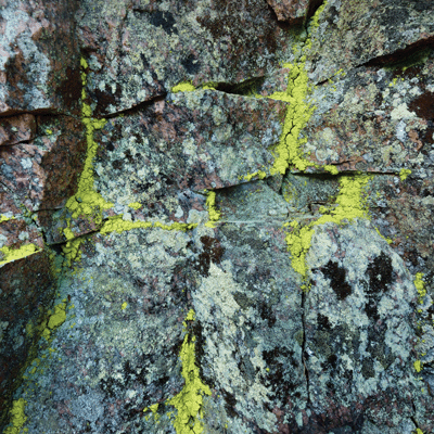 Scandinavian Woodland: Mossy Rock