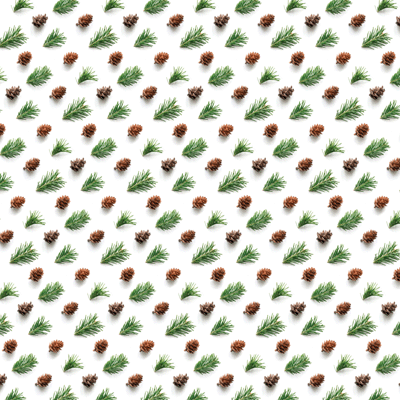 WS Scandinavian Woodland: Mossy Rock