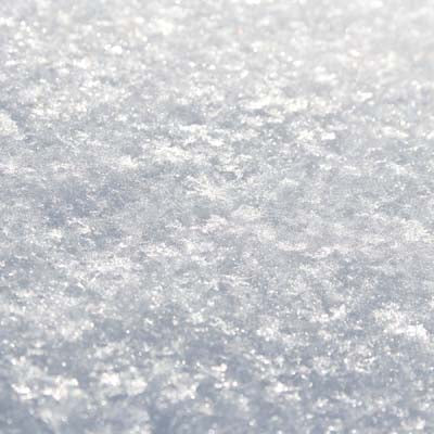 WS Snow Day: Snow Day