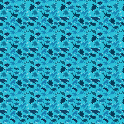 Sea Life: Turtle-ly Awesome