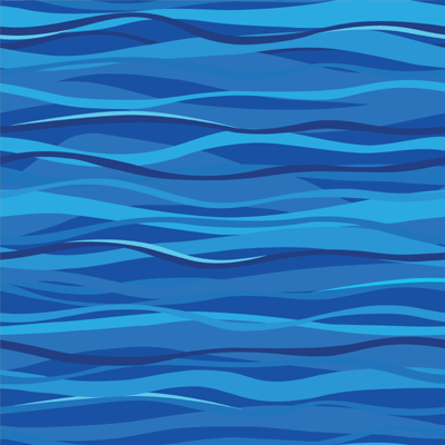 WS Sea Life: Turtle-ly Awesome