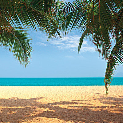 WS The Shipwreck Club: Caribbean Beach