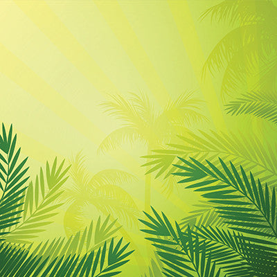 WS The Shipwreck Club: Palm Beach