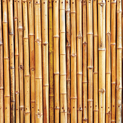 WS The Shipwreck Club: Palm Beach