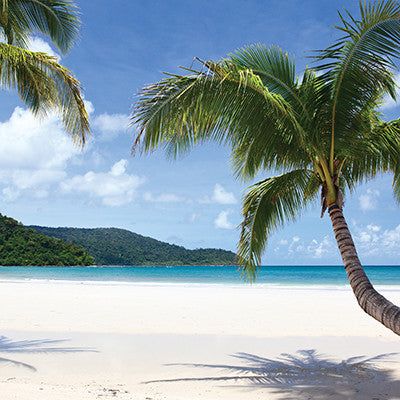 The Shipwreck Club: Paradise