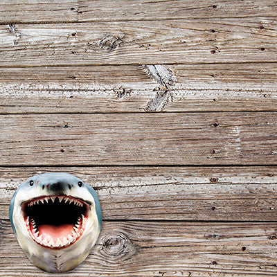 WS The Shipwreck Club: Shark Tank