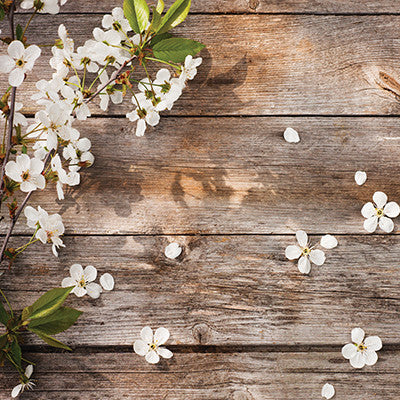 WS Signs of Spring: Springtime