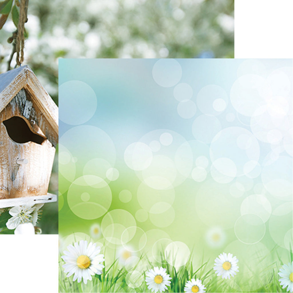 WS Signs of Spring: Blooming