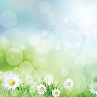 Signs of Spring: Blooming