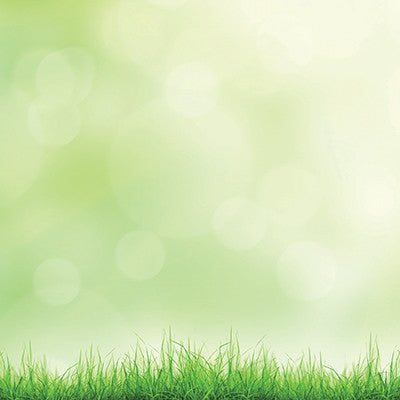 Signs of Spring: Easter Eggs