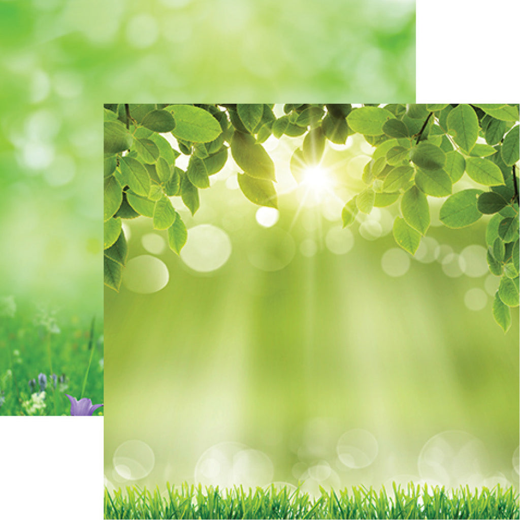 WS Signs of Spring: Hello Sunshine