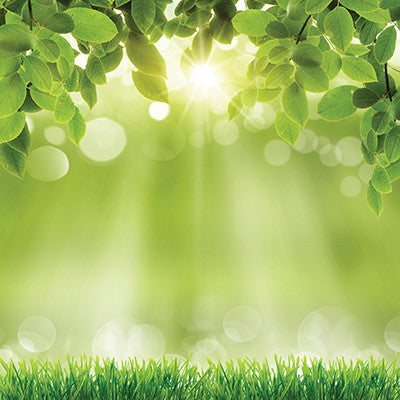 WS Signs of Spring: Hello Sunshine