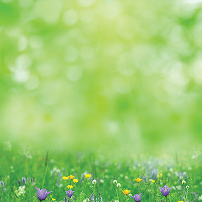 Signs of Spring: Hello Sunshine