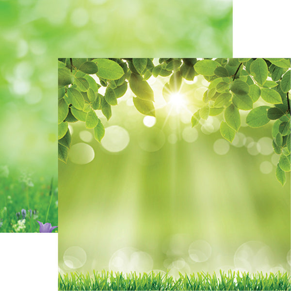 WS Signs of Spring: Hello Sunshine