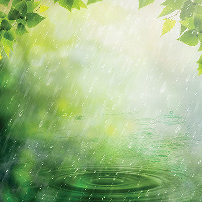 Signs of Spring: Spring Showers