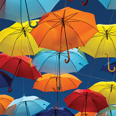 WS Signs of Spring: Spring Showers