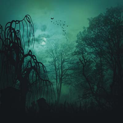 WS Spooky Night: Spooky Night