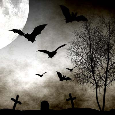 Spooky Night: Spooky Forest