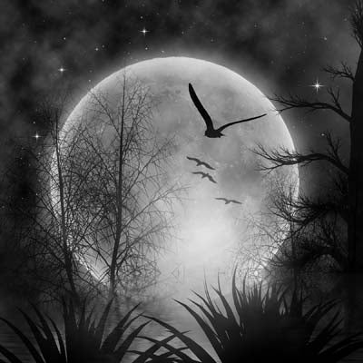 WS Spooky Night: Full Moon