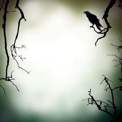 WS Spooky Night: Full Moon