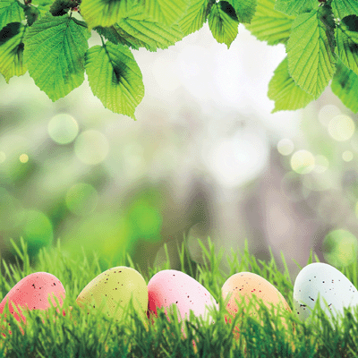 WS Springtime 2019: Easter Egg Hunt