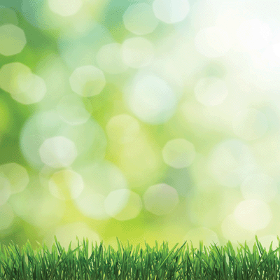 Springtime 2019: Easter Egg Hunt