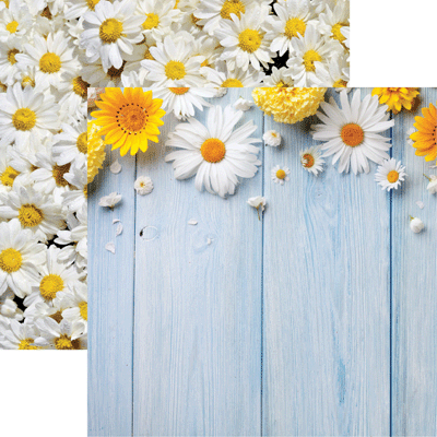 WS Springtime 2019: Daisies