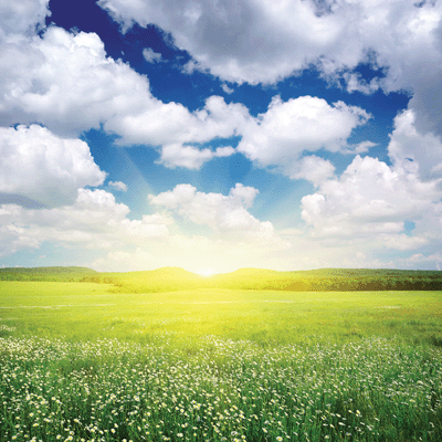 WS Springtime 2019: Spring Day