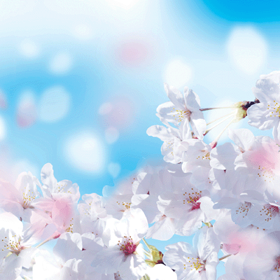 WS Springtime 2019: Spring Day