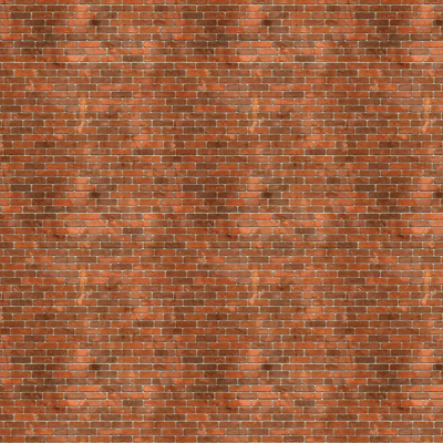 WS Seize the Day: Overcome