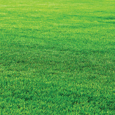 Summertime: Hello Summer