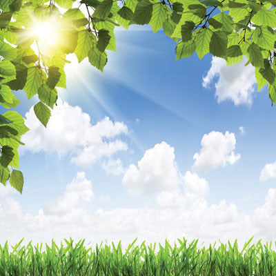 WS Summertime: Hello Summer