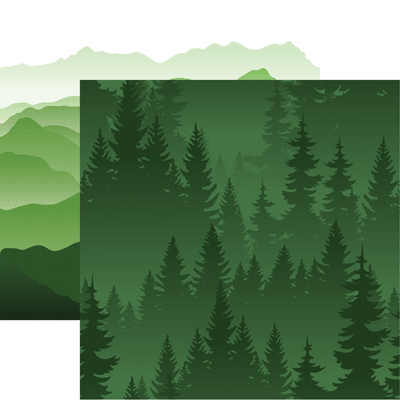 WS Scenic View: Evergreen