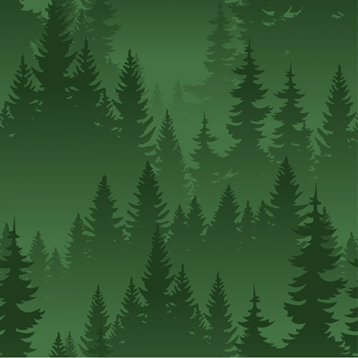 WS Scenic View: Evergreen