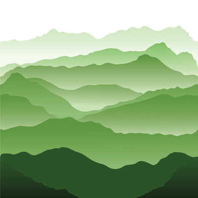 WS Scenic View: Evergreen