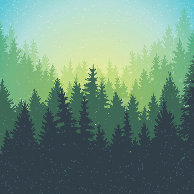 Scenic View: Outdoor Adventure