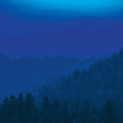 Scenic View: Day or Night