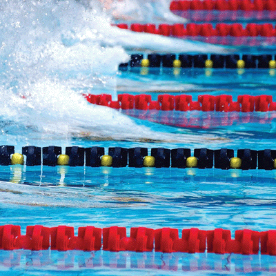 WS Swim Team: The Start