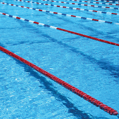 WS Swim Team: The Start